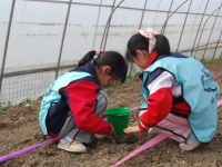 团建研学